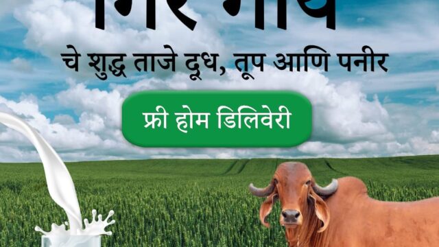 Gir Cow Milk